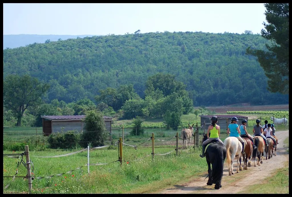 Les Terres De Saint Hilaire Bed & Breakfast Ollieres France